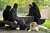 Sisterhood of Gradac Monastery (photo: Svetlana Dingarac)